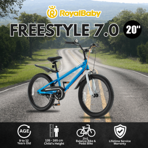 RoyalBaby 20" Freestyle 7.0 BMX Bike for Kids Ages 9-12 Years Old (20B-GP) Collection