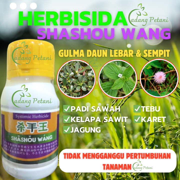 Shashouwang Ungu Herbisida Sistemik Selektif Pembasmi Rumput Liar Gulma