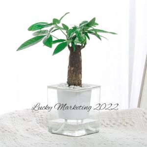 Nordic Style Self Watering Pot (Automatic Water-Absorbing Pot)