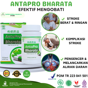 OBAT HERBAL STROKE RINGAN ATAU BERAT KOMPLIKASI STROKE PALING AMPUH ANTAPRO BHARATA