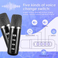 S8 100W Portable Karaoke Speaker AINEW Professional Dual Microphone Bluetooth Smart External karaoke. 