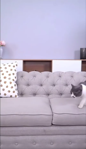 for Cat Pan Bags Durable Drawstring Litter Box Liners for Extra Thickened Disposable Waste Bag Medium and Large Si