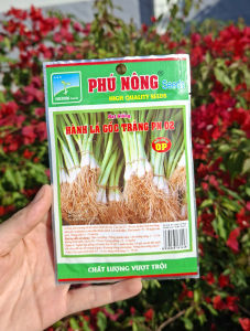 [VTNN TIEN KHOA] Phú Nông - Hạt giống Hành lá gốc trắng PN 02 chất lượng cao