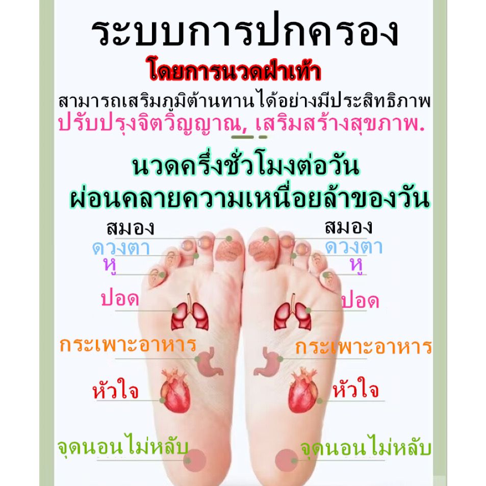 อุปกรณ์เพื่อสุขภาพเท้า 【เรือจากประเทศไทย/COD】ที่นวดฝ่าเท้า บริหารเท้า 9แถว18 ลูกกลิ้ง ลูกกลิ้งไม้สักนวดเท้า