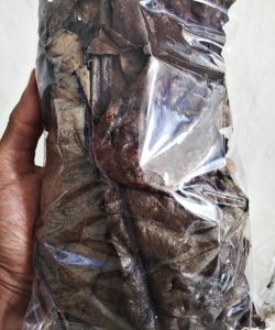 PREMIUM olahan daun Ketapang asli laut bersih kering