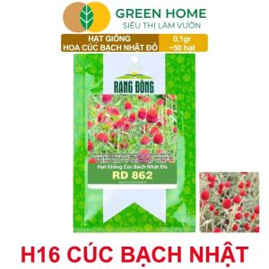 Hạt Giống Hoa Cúc Bách Nhật Đỏ GreenHome Gói 01g~50 hạt Dễ Trồng Quanh Năm Ra Hoa Liên Tục H16
