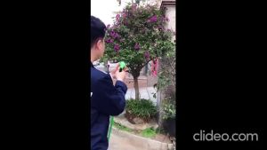 SG Expandable Water Hose Pipe With Spray Gun - Car Wash Garden Watering Tool Universal Adapter Connector