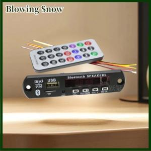 Blowing 1 Set 12V Wireless Bluetooth 5.0 120W Amplifier MP3 Player Decoder Board Car Audio USB TF FM Radio Recording Call For Speaker