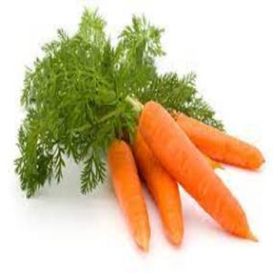 Carrot Seeds – High Yield Root Crop Variety – Easy to Grow – Green Thumbs RDZY