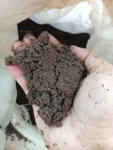 [MEGA-SALE] 1 KILO/1 LITER PLUS ONE - SOIL AMENDMENTS (GARDEN SOIL VERMICAST LOAM SOILRICEHULL ANIMAL MANURE PUMICE AROID MIX) FOR YOUR BEAUTIFUL PLANTS