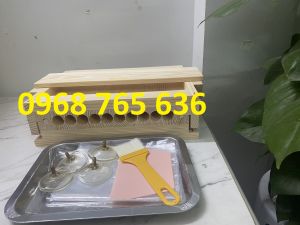 Dụng cụ vo viên trân châu khoai dẻo 16-19-23mm Khuôn làm viên tễ bằng gỗ