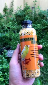 Pakan Kenari/Ef Kenari/pakan tambahan kenari