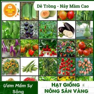 Tổng Hợp Các Loại Hạt giống Dây Leo La Gim Dễ Trồng Nảy Mầm Cao Năng Suất Cao - Nông Sản Vàng