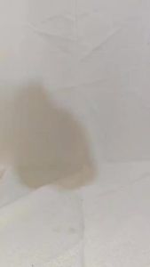 Flogienix Dishwashing Liquid - 1 Gallon (Calamansi)