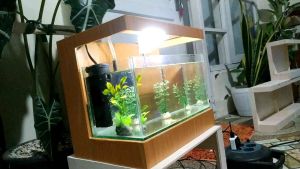 Display Kabinet Akurium Mewah Harga Murah Fulset Dengan Kucuran