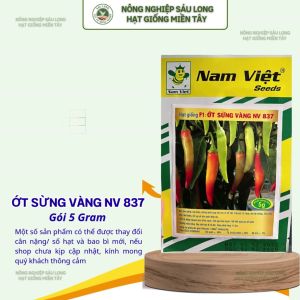 Hạt Giống Ớt Sừng Vàng F1 NV 837 – 5g – Nam Việt Seeds