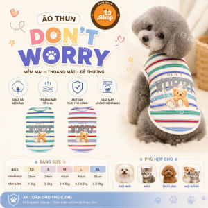 áo gấu " DONT WORRY " sọc ngang dành cho chó mèo - T3 PETS SHOP