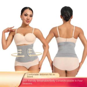 PERCEPT ตาข่ายแบบตาข่าย ชุดกระชับหน้าท้อง คอร์เซ็ต แถบลายทาง เข็มขัดรัดหน้าท้อง แฟชั่นสำหรับผู้หญิง Sacroiliac เข็มขัดรัดเอว สำหรับผู้หญิง
