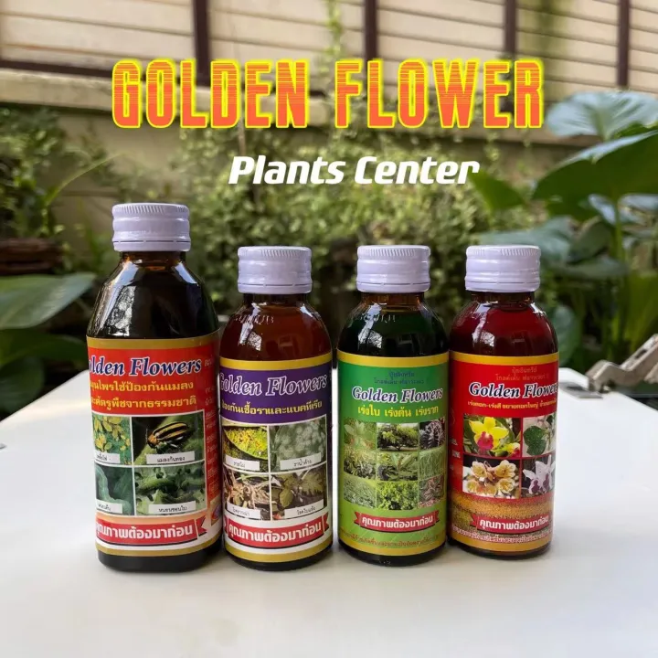 Golden Flowers ยากันรา ยาเร่งราก ปุ๋ยแคคตัส ชนิดน้ำ 100/250 CC