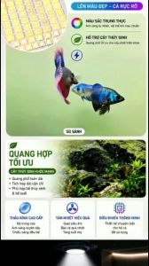 Đèn UFO Cho Bể Cá BAOYU WRGB - Điều Khiển Điện Thoại Công Suất 60W/70W/80W/90W Chính Hãng