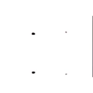 1 meter Velcro Tape Self Adhesive Fastener Tape Reusable Hooks Loops Cable Tie Wire Organizer Multifunction Velcro