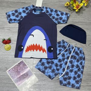 Đồ bơi bé trai 2 mảnh áo tay ngắn quần đùi họa tiết dễ thương nhiều màu chất liệu thun lạnh BINSPORTS BB036