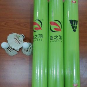 Badminton Shuttlecock 12pcs for Training Shuttlecock 羽毛球