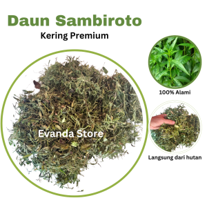 TERMURAH Daun Sambiloto Kering Daun Sambiroto Kering