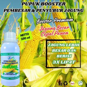 Pupuk Cair Pelebat Jagung Besar Maksimal Pupuk Jagung Terbaik Obat Pertumbuhan Jagung Berbuah Lebat