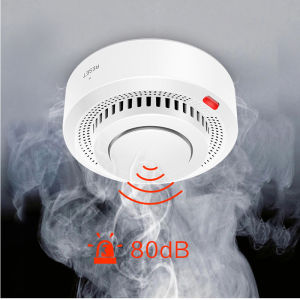 DAYTECH TUYA WIFI Wireless Standalone Fire Smoke Alarm Detector Fire Alarm Home Security System Firefighters for Home/ Hotel/Restaurant/Shop SM11