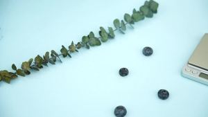 Digital Gram Scale 500g 0.01g Food Scale High Precision Kitchen Scale Multifunctional Stainless Steel Pocket Scale with Back-Lit LCD Display Tare PCS Features Silver