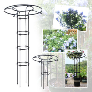 ซูมไม้เลือย โครงเหล็กดัด ทรงร่ม สำหรับตกแต่งสวน ร่มดอกไม้