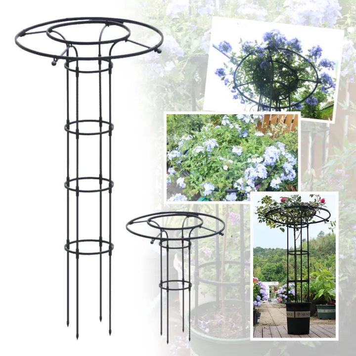 ซุ้มไม้เลื้อยโครงเหล็กดัดทรงร่ม สำหรับตกแต่งสวน