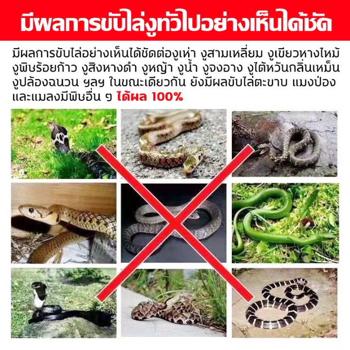 🐍ไม่มีงูเหลืออยู่ในรัศมี 100 ไมล์ 1 แพ็คมี10ผงไล่งู 1เม็ดใช้ได้1ปี แจก ...