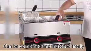 ArcticBreeze Stainless Steel Commercial Double Cylinder LPG Gas Fryer High Quality Countertop Fryer Deep Fryer Kitchen Equipment