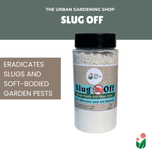 Slug Off - All-Natural and Chemical- Free Solution to Fight Garden Pests