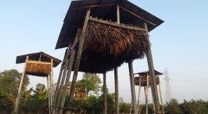 Phân dơi Minh Tâm túi 2Kg | Nguyên chất 100% đã sấy khô và xử lý bằng tia cực tím