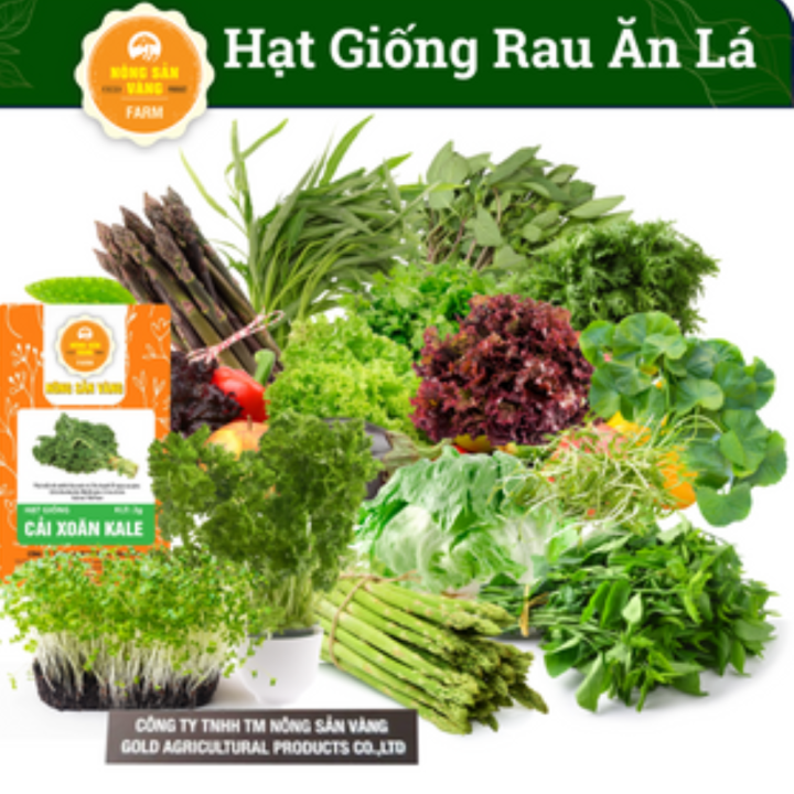 Tổng Hợp Các Loại Hạt giống Rau Ăn Lá, Chịu Nhiệt, Trồng Quanh Năm, Dễ ...
