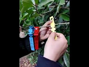100Pcs Waterproof Plant Tags Plastic Wrap Around Tree Labels Adjustable For Nursery Garden Plants