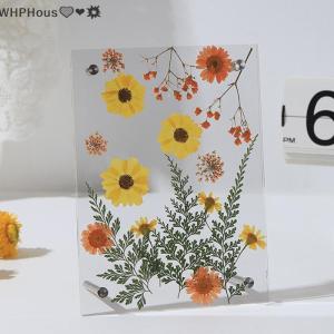 WP💓💛💖 6 Inch Clear Acrylic Pressed Flower Frame Floral Keepsake Frame – Minimalist Tabletop Photo Display For Home & Office Desk Decor