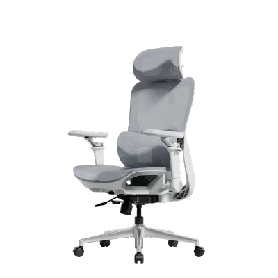 (Ready Stock) Hbada P2 Ergonomic Office Chair (P2 Pro & P2 Ultra) -with Adjustable Lumbar Adjustable Headrest & Rotation Armrests | Mesh Gaming Chair