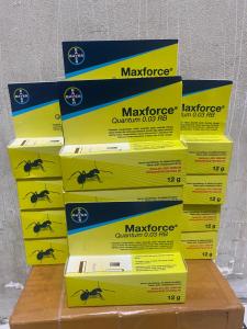 Racun Semut AMPUH 12 GR MAXFORCE QUANTUM 0.03RB BAYER