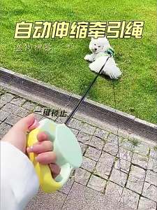 Pet Harness and Leash Retractable Design 3 m Length Rope Construction 3M adjustable pet harness walking leash set for daily walks and supervised outdoor trips for Cats Dogs and Pet Owners