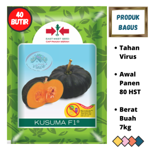 Benih Bibit Bji Labu Kuning KUSUMA F1 95 Butir Waluh Cap Panah Merah