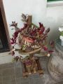 Coco Husk Plant Stand - Single. 