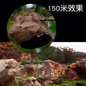 MY仓发货 德国正品军倍 望远镜双筒高倍超清夜视成人户外专业找蜂