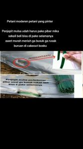 penjepit mulsa semat piber tusuk paku mulsa kebun isi 100pcs panjang 25cm petani moderen