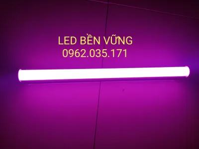 Đèn bàn thờ ông địa 30cm40cm50cm