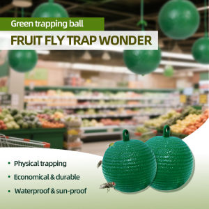 8 Green Portable Hanging Fly Traps 80mm in Diameter Suitable for Home & Outdoor Use Quickly Lure & Trap Flies & Other Flying Insects