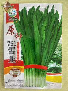 High Yield Chives Seeds (500 Seeds/pack) 791 Snow Leek Seeds Chinese Chives Seeds -A713